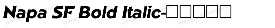 Napa SF Bold Italic字体转换